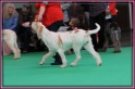 09-03-12 M GoodAsGold_IMG_9678
